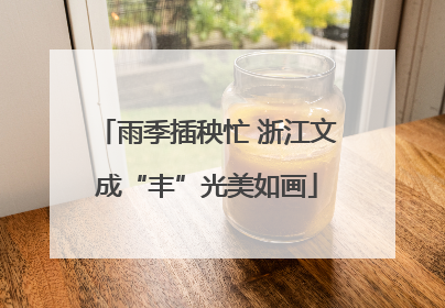 雨季插秧忙 浙江文成“丰”光美如画