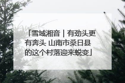 雪域湘音｜有劲头更有奔头 山南市桑日县的这个村落迎来蜕变
