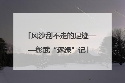 风沙刮不走的足迹——彰武“逐绿”记