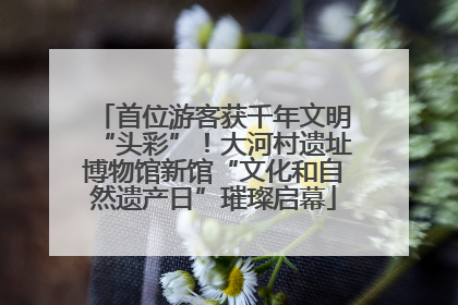 首位游客获千年文明“头彩”！大河村遗址博物馆新馆“文化和自然遗产日”璀璨启幕