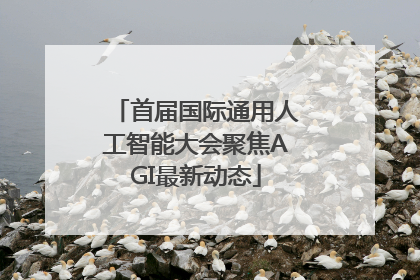 首届国际通用人工智能大会聚焦AGI最新动态