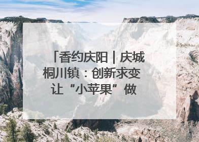 香约庆阳｜庆城桐川镇：创新求变 让“小苹果”做成“大产业”