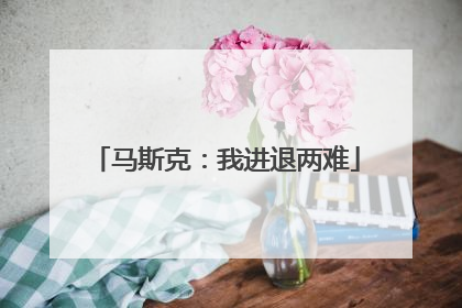 马斯克：我进退两难