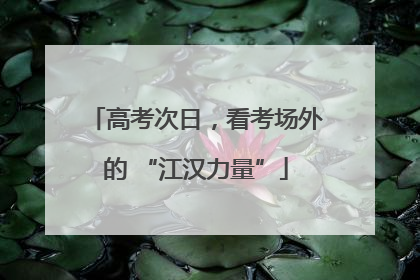 高考次日，看考场外的 “江汉力量”