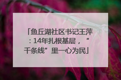 鱼丘湖社区书记王萍：14年扎根基层，“千条线”里一心为民