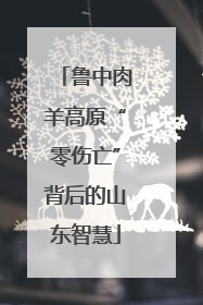 鲁中肉羊高原“零伤亡”背后的山东智慧