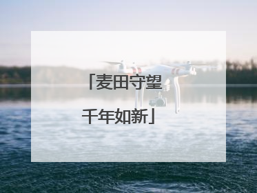 麦田守望 千年如新