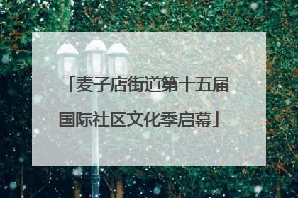 麦子店街道第十五届国际社区文化季启幕