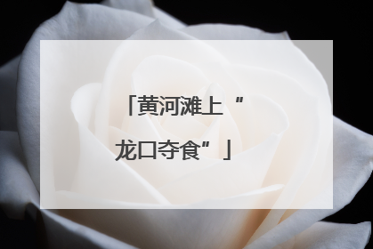 黄河滩上“龙口夺食”