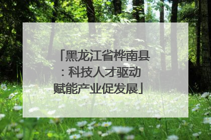 黑龙江省桦南县：科技人才驱动 赋能产业促发展