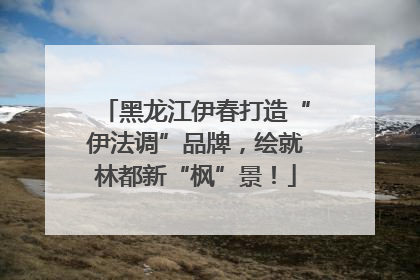 黑龙江伊春打造“伊法调”品牌，绘就林都新“枫”景！