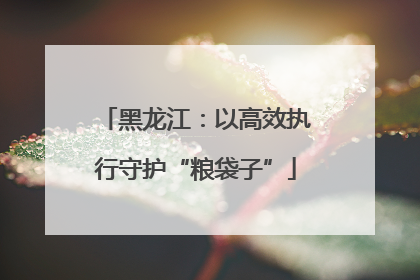 黑龙江：以高效执行守护“粮袋子”