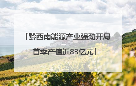 黔西南能源产业强劲开局 首季产值近83亿元
