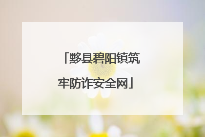 黟县碧阳镇筑牢防诈安全网