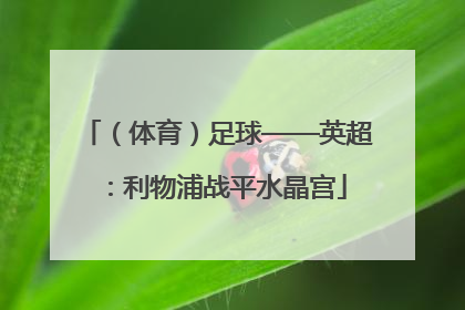 （体育）足球——英超：利物浦战平水晶宫