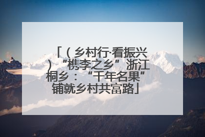 （乡村行·看振兴）“槜李之乡”浙江桐乡：“千年名果”铺就乡村共富路