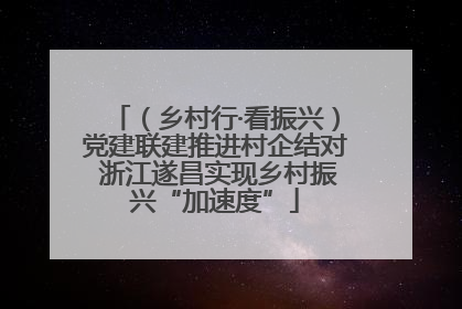 （乡村行·看振兴）党建联建推进村企结对 浙江遂昌实现乡村振兴“加速度”
