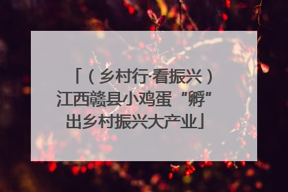 （乡村行·看振兴）江西赣县小鸡蛋“孵”出乡村振兴大产业