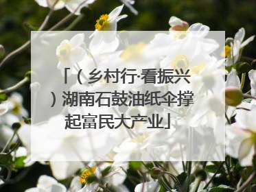 （乡村行·看振兴）湖南石鼓油纸伞撑起富民大产业