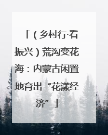 （乡村行·看振兴）荒沟变花海：内蒙古闲置地育出“花漾经济”