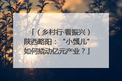 （乡村行·看振兴）陕西略阳：“小瓢儿”如何撬动亿元产业？
