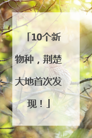 10个新物种，荆楚大地首次发现！