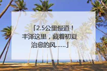 2.5公里慢道！丰泽这里，藏着初夏治愈的风……