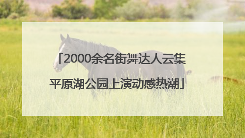 2000余名街舞达人云集 平原湖公园上演动感热潮