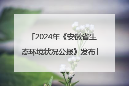 2024年《安徽省生态环境状况公报》发布