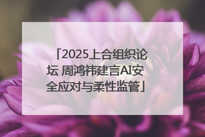 2025上合组织论坛 周鸿祎建言AI安全应对与柔性监管