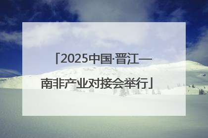 2025中国·晋江—南非产业对接会举行