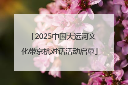 2025中国大运河文化带京杭对话活动启幕