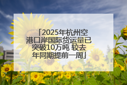 2025年杭州空港口岸国际货运量已突破10万吨 较去年同期提前一周