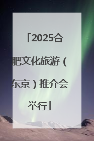 2025合肥文化旅游（东京）推介会举行
