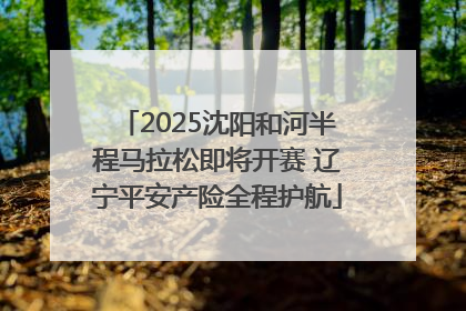 2025沈阳和河半程马拉松即将开赛 辽宁平安产险全程护航