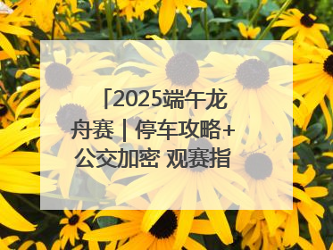 2025端午龙舟赛｜停车攻略+公交加密 观赛指南来了！