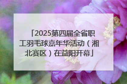 2025第四届全省职工羽毛球嘉年华活动（湘北赛区）在益阳开幕