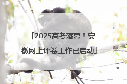 2025高考落幕！安徽网上评卷工作已启动