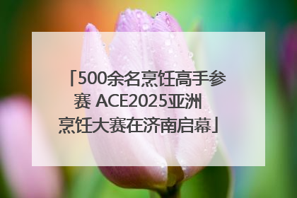 500余名烹饪高手参赛 ACE2025亚洲烹饪大赛在济南启幕