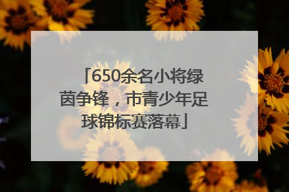 650余名小将绿茵争锋，市青少年足球锦标赛落幕