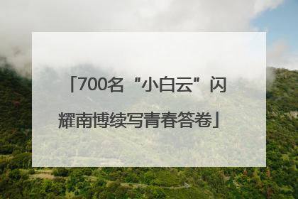 700名“小白云”闪耀南博续写青春答卷