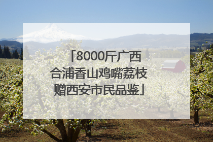 8000斤广西合浦香山鸡嘴荔枝赠西安市民品鉴