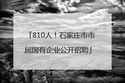 810人！石家庄市市属国有企业公开招聘