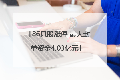 86只股涨停 最大封单资金4.03亿元