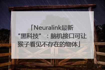 Neuralink最新“黑科技”：脑机接口可让猴子看见不存在的物体