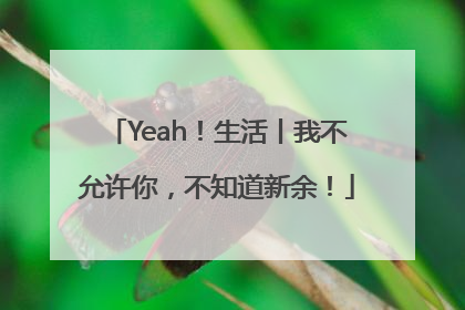 Yeah！生活丨我不允许你，不知道新余！